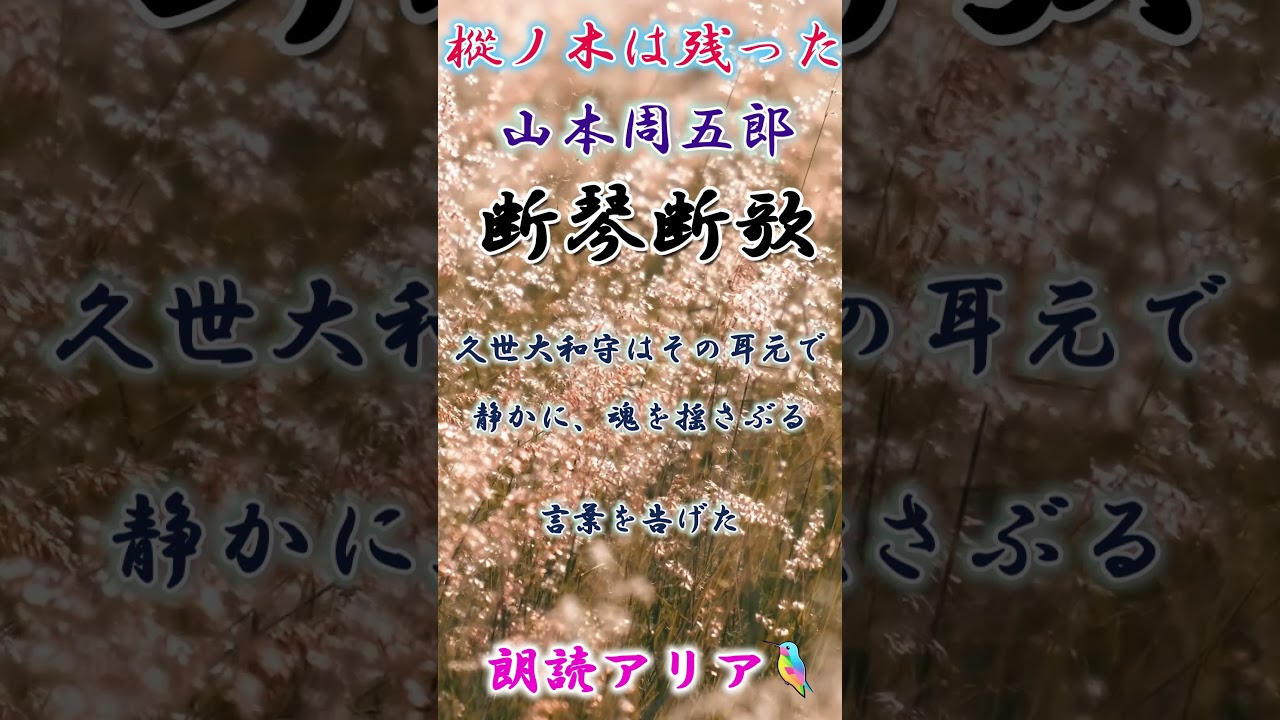 ～孤独なる忠義の果て～「樅ノ木は残っ」山本周五郎｜アリアの案内　#shorts