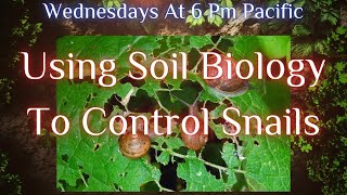 Gardens The Untold Story: Using Soil Biology To Control Snails