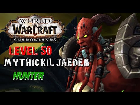 Mythic Kil'Jaeden - Solo - Level 50 - Hunter
