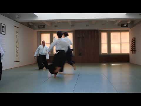 Gary Snyder Sensei - Aikido Freestyle Demo