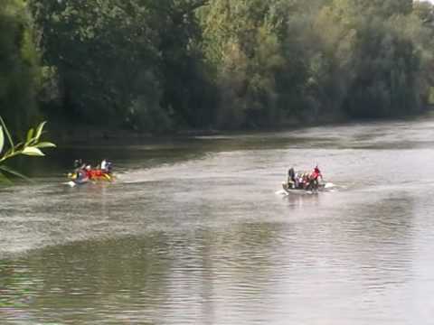 CUPA ARADULUI DRAGON BOAT 2016