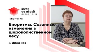 Биоритмы. Cезонные изменения в широколиственном лесу