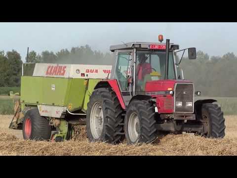 Landb. Adriaens - Leffinge - Massey Ferguson 3645 - Claas Quadrant 1200
