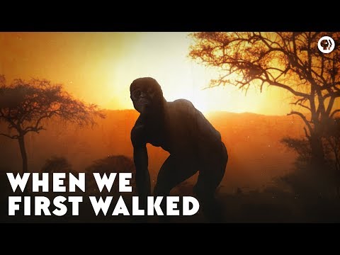 When We First Walked
