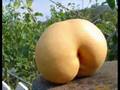 Nature Has Always Created SEXY Ones