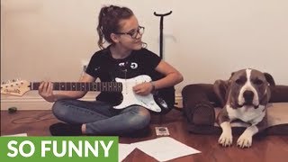 Jealous pit bull demands attention from her owner