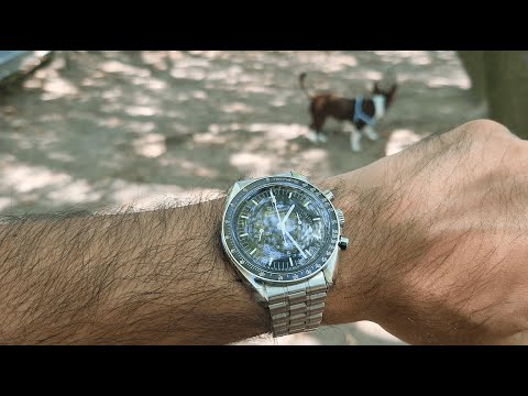 Omega Speedmaster 3861 in Natural Lighting in a Park