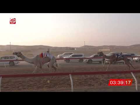 5 alsaad