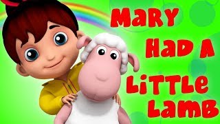 Mary Had A little Lamb | Junior Squad | Kids Videos | Songs For Babies