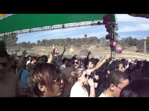 ▲ ALLIANCE DAY PARTY ▲ SPECIAL EDITION - 5 ANOS