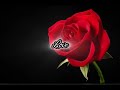 LUTHER VANDROSS SO AMAZING LYRICS