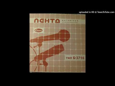 Antti Indow - Turvamees