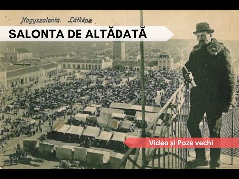 Salonta veche, de altădată / The Old Salonta of Yesteryear