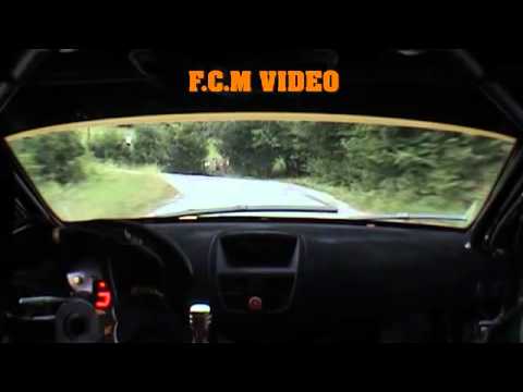 CameraCar Rally Valli Cuneesi 2011 Lombardi - Urban Peugeot 207 Super 2000