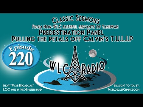 Predestination Panel – Pulling the petals off Calvin’s T.U.L.I.P