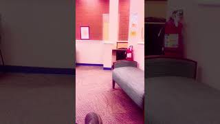 Download lagu Born to Talk Meant to Stand Out mp3