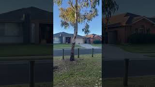 Australian Houses in Nature together #house #home #sydney #australia #nature