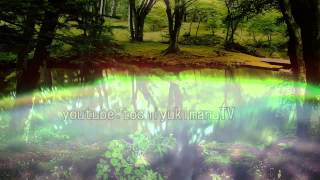 Breath Sound of The Earth Frequency of 528Hz Deep meditation