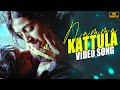Namma Kattula Song 4k Video Song Pattiyal Yuvan Shankar Raja Arya Bharath Pooja