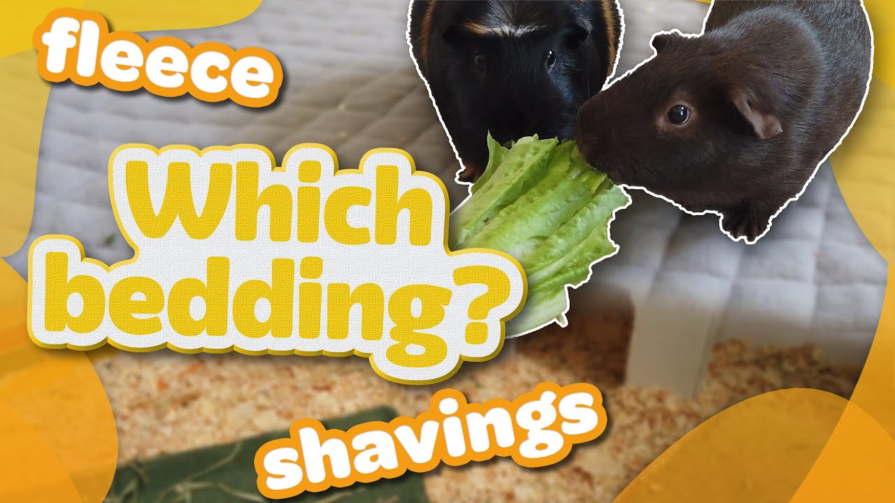 FLEECE VS WOOD SHAVINGS