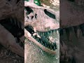 I Probably Shouldnt Have Touched This Millions Year Old Fossils Dinosaurs Skeleton