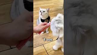 Ela não estava preparado pra isso 😢