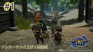 モンハンライズ　参加型