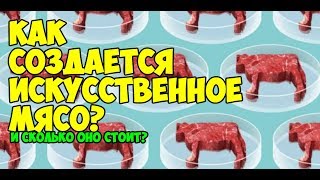 Известно, что разведение птицы и крупного рогатого скота неэффективно и требует огромного количества ресурсов. Чтобы накопить 15 грамм животного белка, корова употребляет 100 грамм растительного. Под пастбища отдаются гигантские