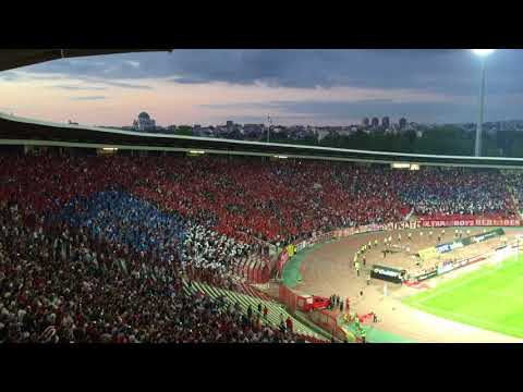 Champions League 2016/2017 | Crvena zvezda v Valletta FC