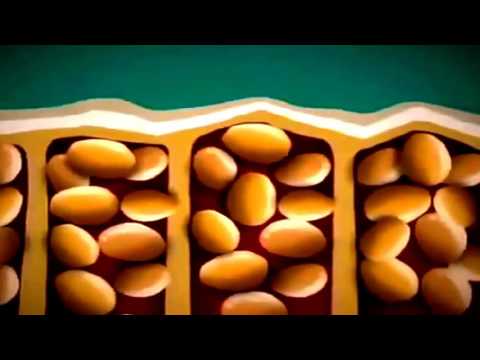 Adeus Cellulite reviews-#TOP01 NEW 2016