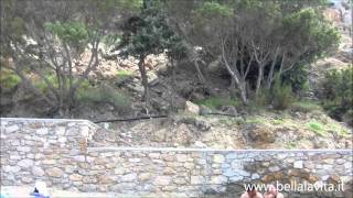 preview picture of video 'Karpathos_2011_Finiki_2464.wmv'