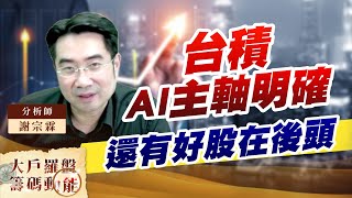 台積 AI主軸明確 還有好股在後頭 (圖)