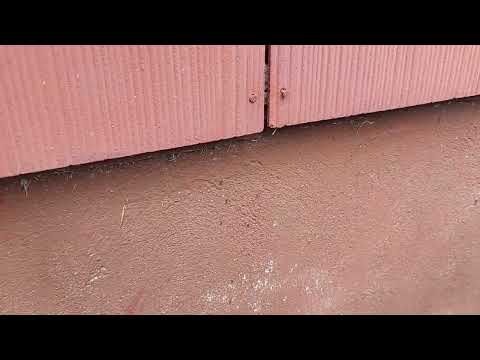 Ants Gettin Inside from the Exterior in Marlboro, NJ