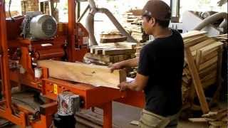 Wood-Mizer HR115 resaw Wood-Mizer HR115 resaw