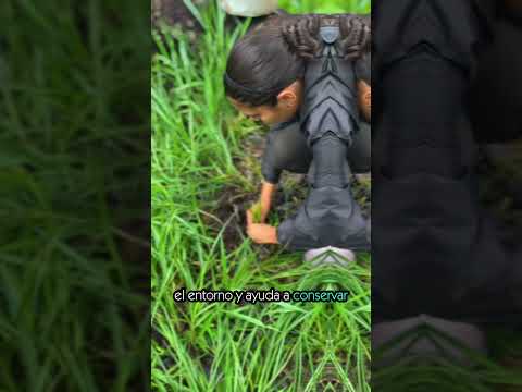 🌱Cuidemos nuestros senderos ecológicos.🏞️ #duraniatursiticaycafetera