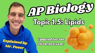 1.5 Lipids - AP Biology (Updated 2025-2026)