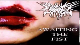 Music video thumbnail preview for Begging for Incest - Awaiting the Fist (FULL ALBUM | 2008) by Begging for Incest