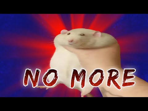 Rank 1 Fiora stomping Gnar matchup