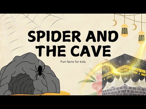 The Spider and the Cave | A Story of Faith and Allah's Protection | Islamic Stories for Kids