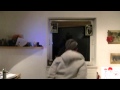 Monkey Dance