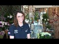 PORTRAIT : Juliette Guinguené, la fine fleur