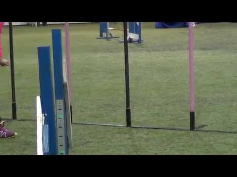 Ellan ja Pöpön hyppyrata Vantaa 18.1.2015 ja mahdottoman raskas pussi