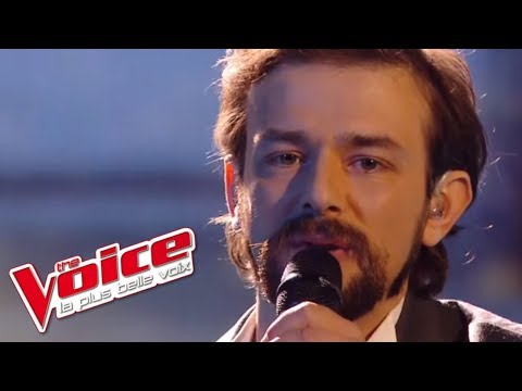 William Sheller - Un homme heureux | Clément Verzi | The Voice France 2016 | Finale
