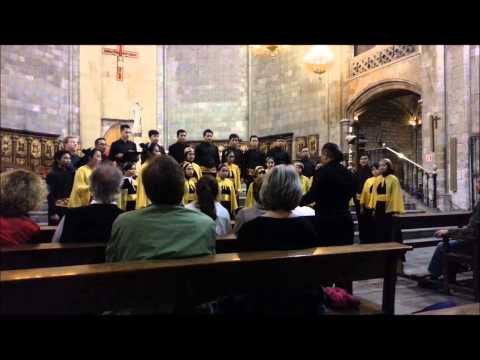 PSM Unila - Jubiaba (Arr. Carlos Alberto Pinto Fonseca), Spain 2014