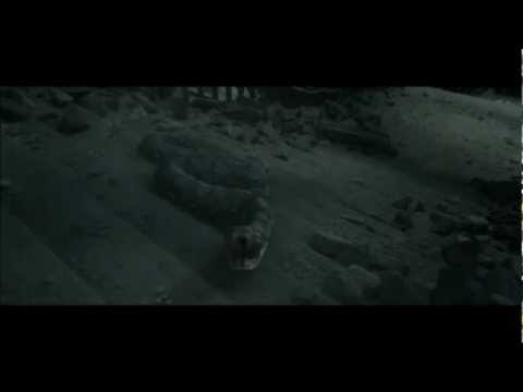 Harry Potter 7.2 Harry vs. Voldemort (German)