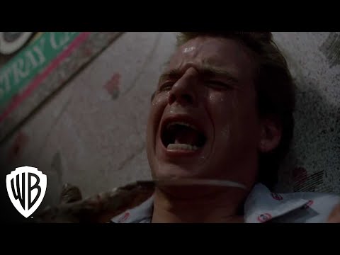 Thumbnail of the video: "Transformation"
