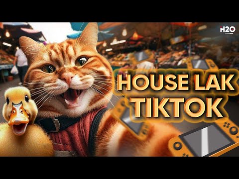 HOUSE LAK TIKTOK #3🎧NHẠC REMIX TIKTOK 2024🎧MIXTAPE DEEP HOUSE, VIET DEEP, HOUSE LAK