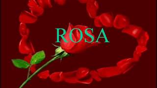 Rosa