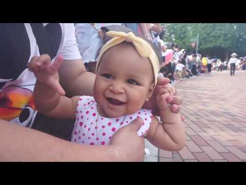 lulu's first birthday