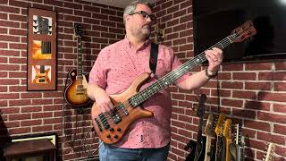 Waiting - 311 bass cover